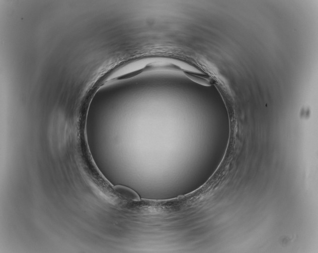 X0000090780250200708101839