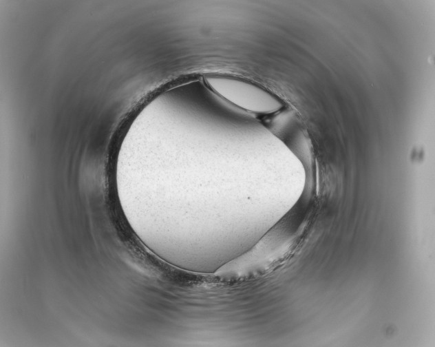 X0000090780252200708101839