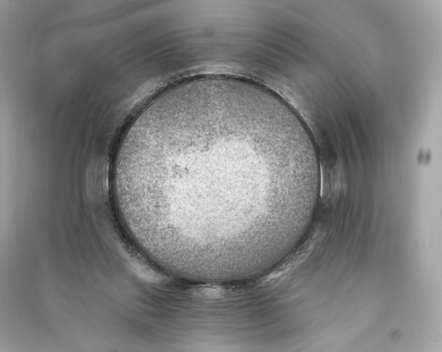 X0000090780253200708101839