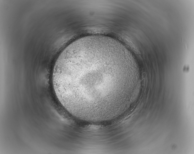 X0000090780255200708101839