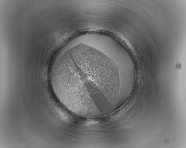 X0000090780257200708101840