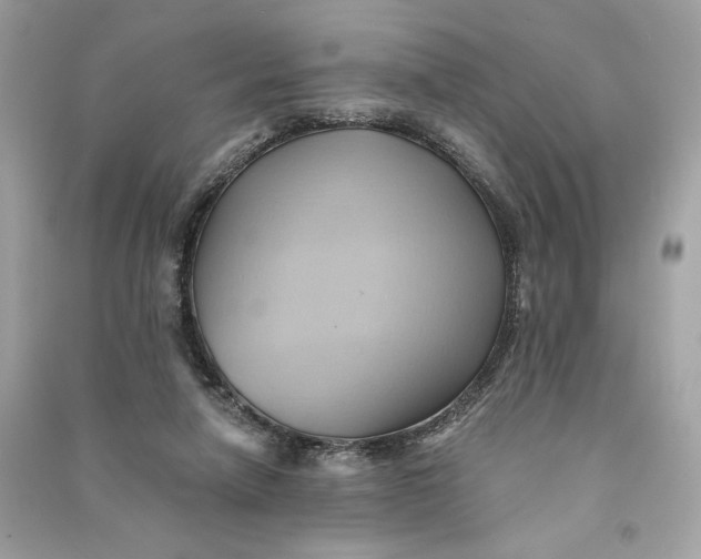X0000090780258200708101840