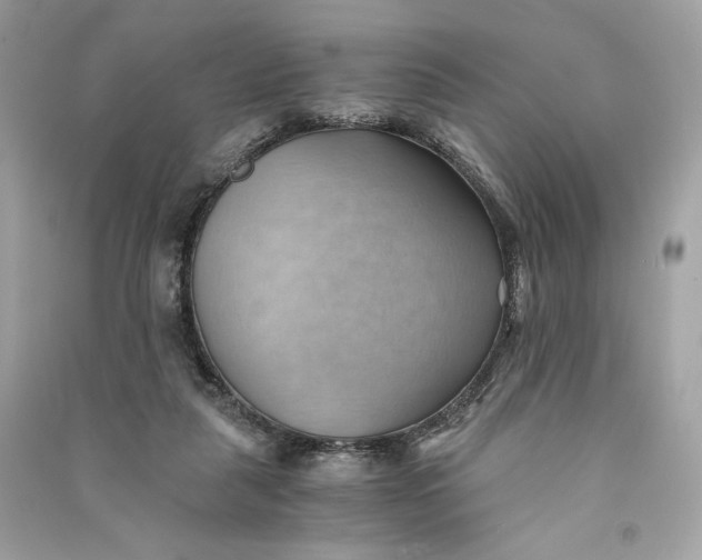 X0000090780259200708101840