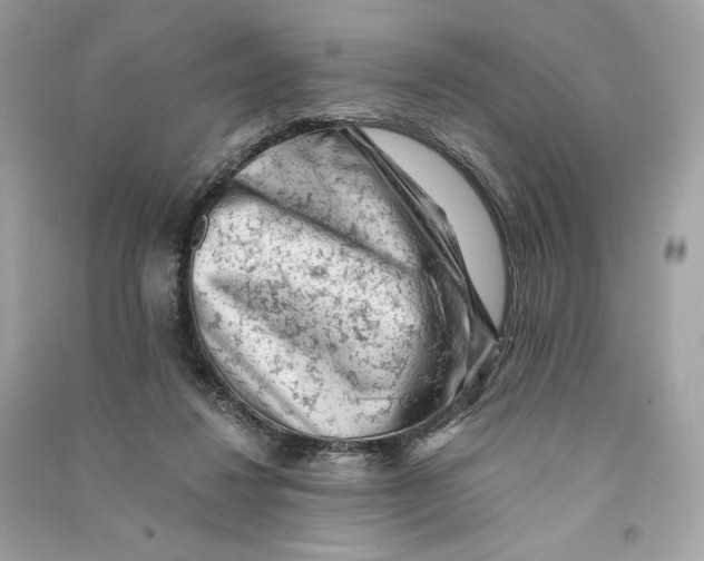 X0000090780260200708101840