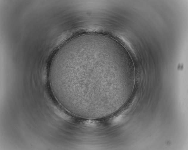 X0000090780261200708101840