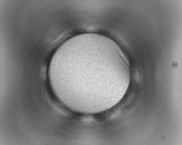 X0000090780262200708101840