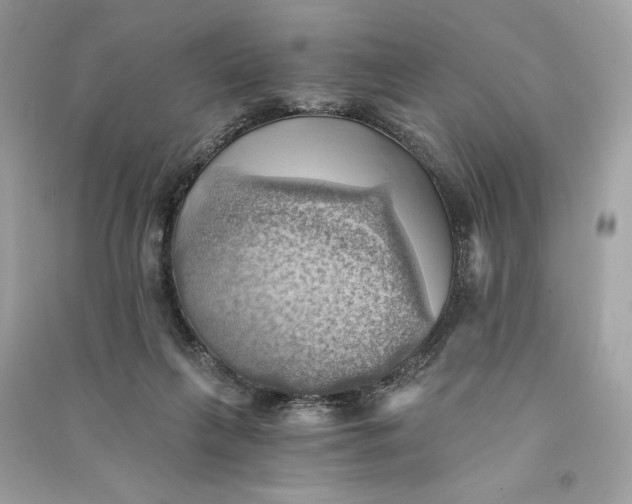 X0000090780263200708101840