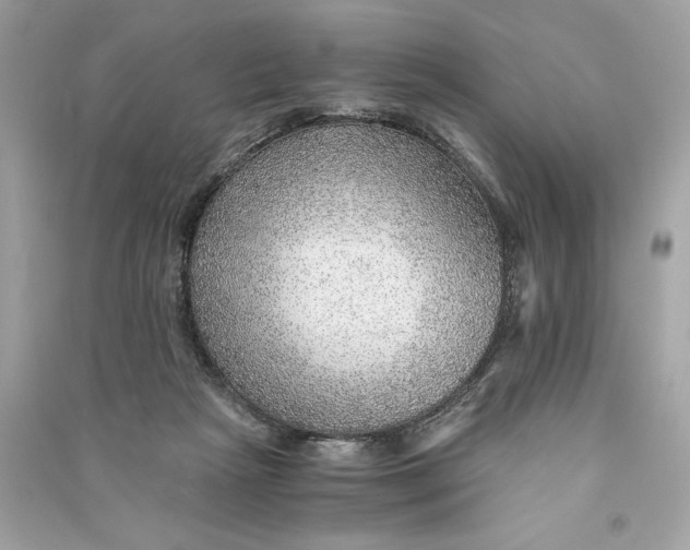 X0000090780265200708101840