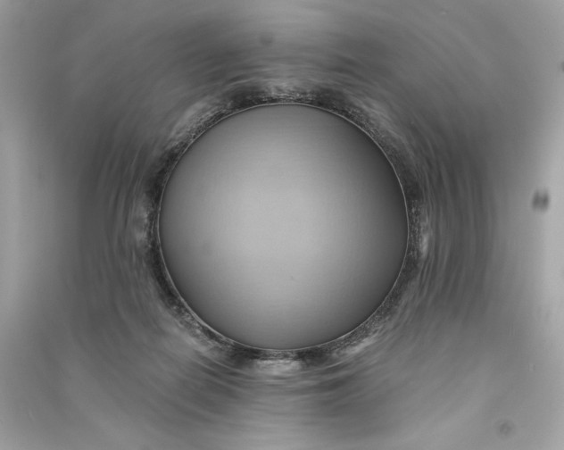 X0000090780266200708101840