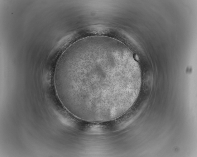 X0000090780268200708101840