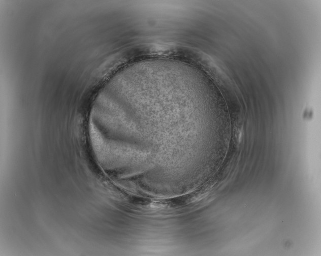 X0000090780270200708101840