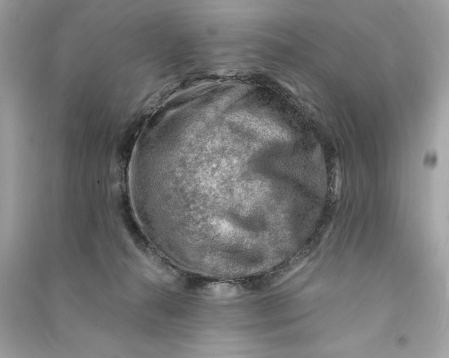 X0000090780272200708101840