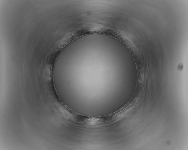 X0000090780273200708101840