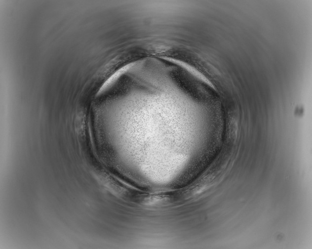 X0000090780274200708101840