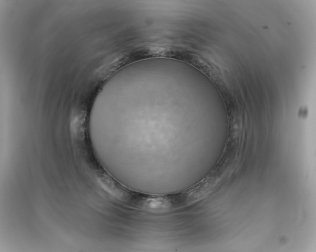 X0000090780275200708101840