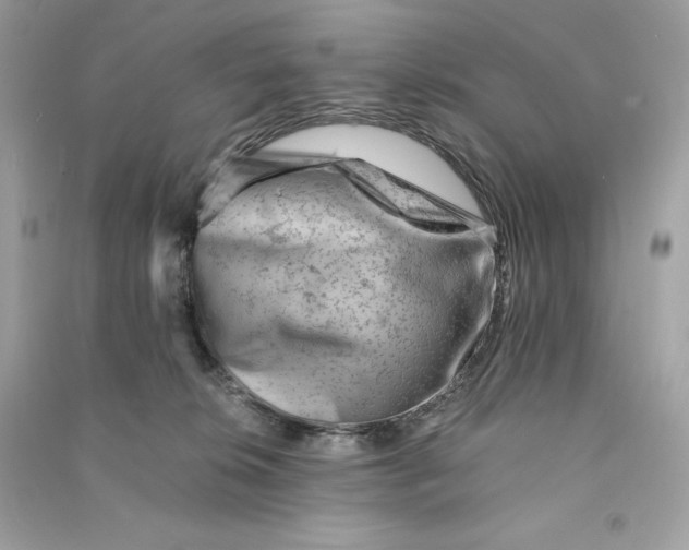X0000090780276200708101840