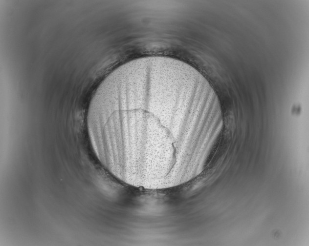 X0000090780278200708101840