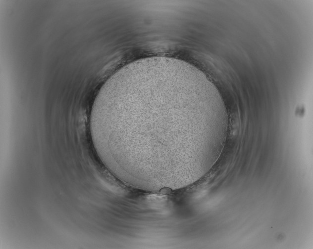 X0000090780279200708101840