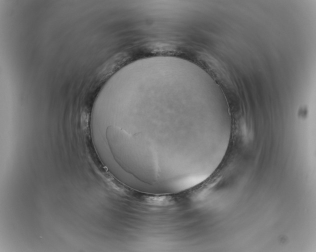 X0000090780281200708101840