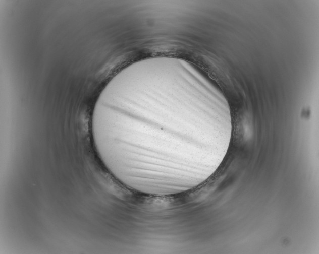 X0000090780282200708101840