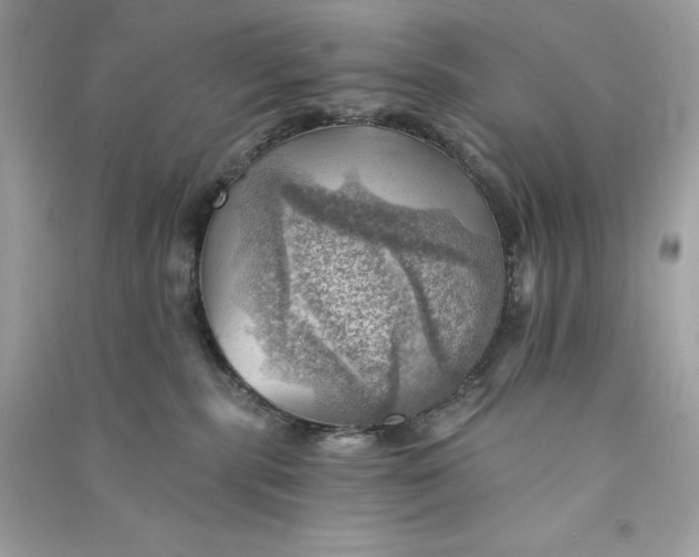 X0000090780283200708101840