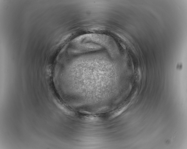 X0000090780284200708101840