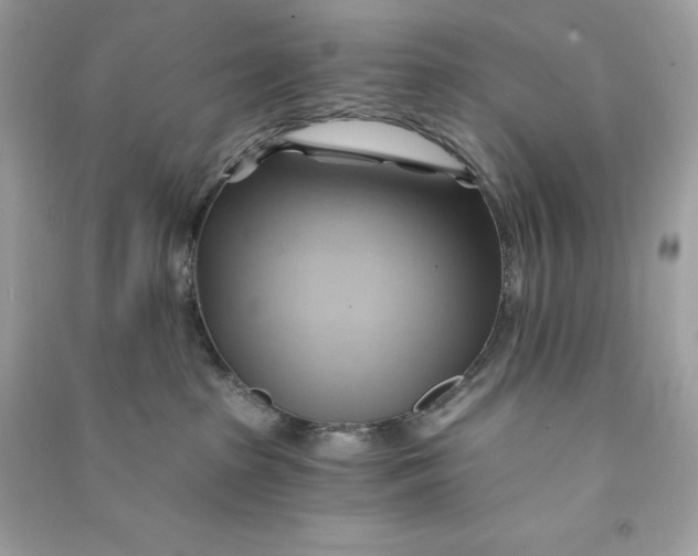 X0000090780285200708101840