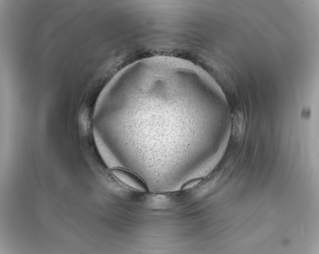 X0000090780287200708101840
