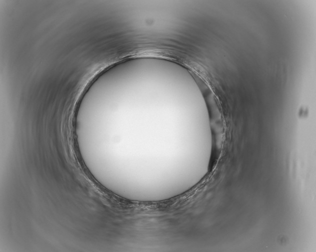 X0000090780289200708101839