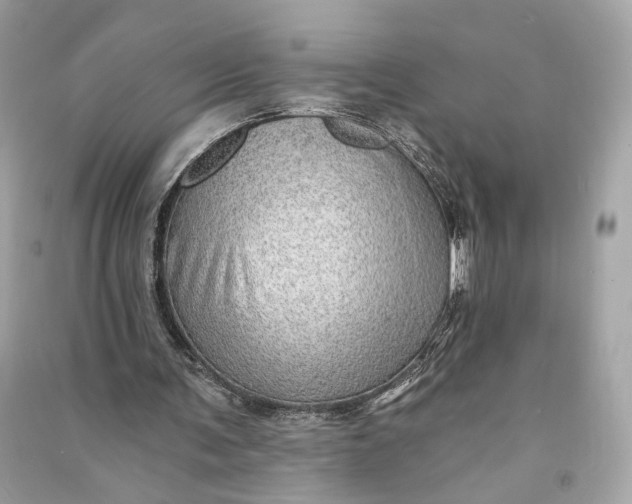 X0000090780291200708101839