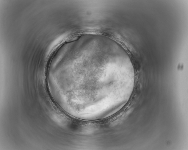 X0000090780293200708101839