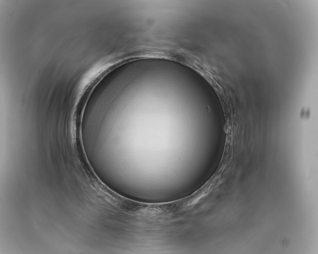 X0000090780294200708101839