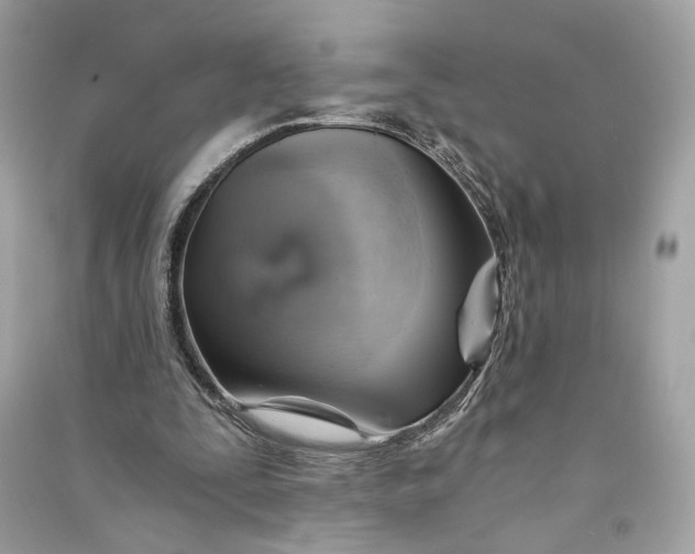 X0000090780295200708101839
