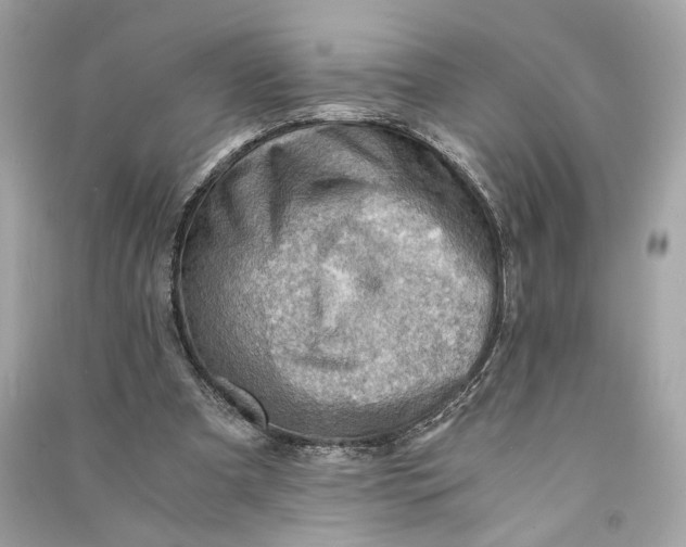 X0000090780297200708101839