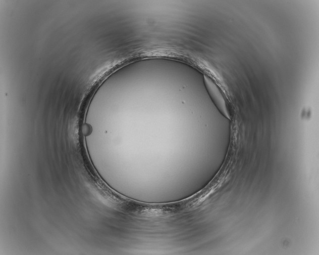 X0000090780298200708101839