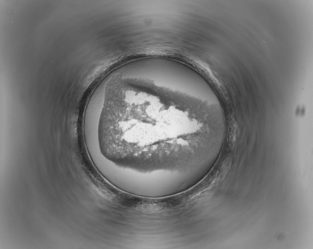 X0000090780299200708101839