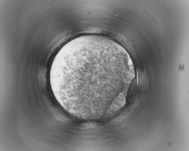 X0000090780300200708101839