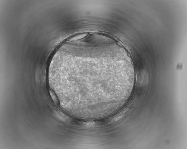 X0000090780301200708101839