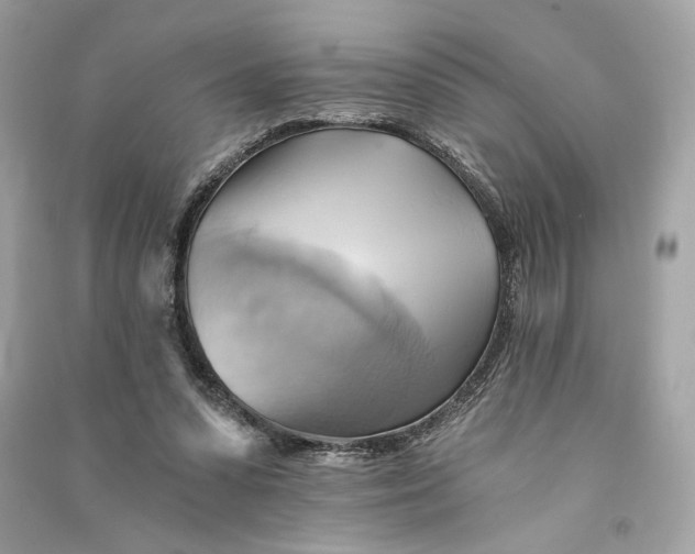 X0000090780303200708101839