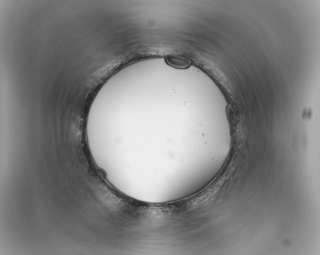 X0000090780305200708101839