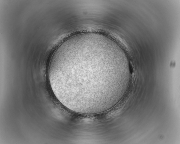 X0000090780306200708101839