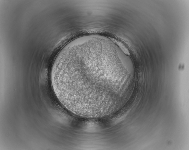 X0000090780308200708101839