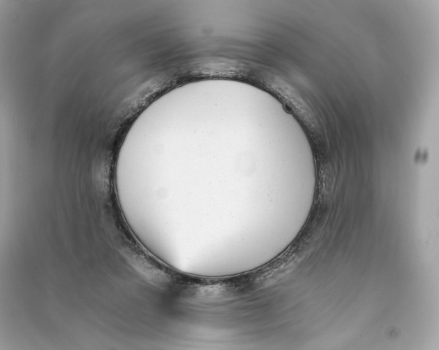 X0000090780309200708101839