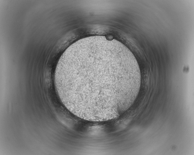 X0000090780312200708101839