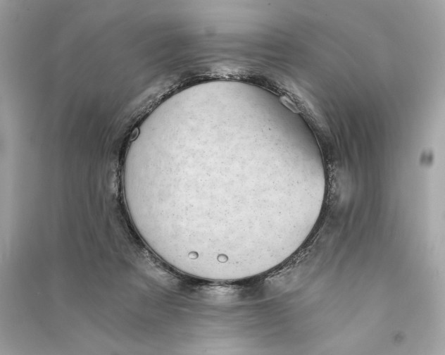 X0000090780313200708101839