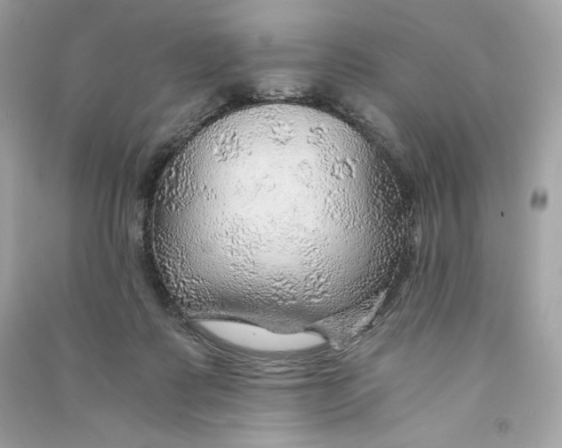 X0000090780315200708101839