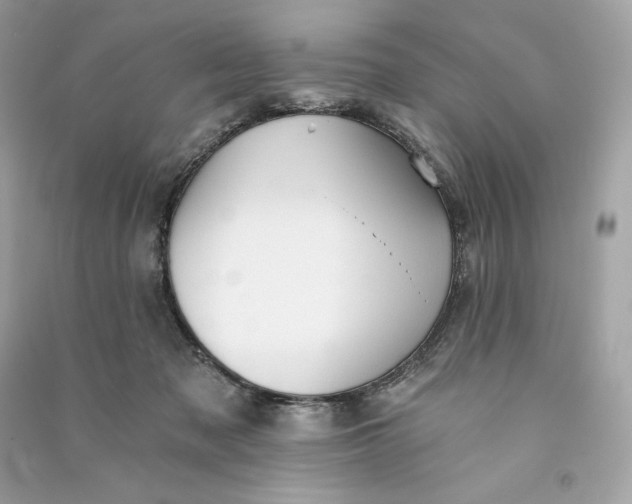 X0000090780317200708101839
