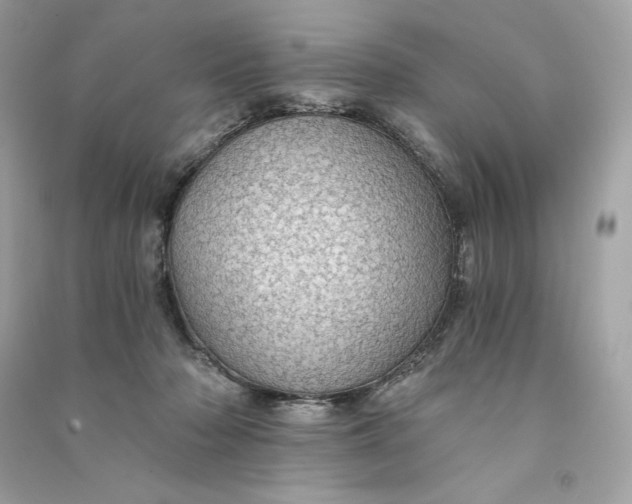 X0000090780318200708101839