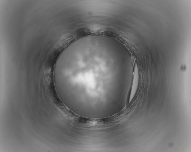 X0000090780319200708101839
