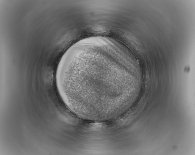 X0000090780320200708101839